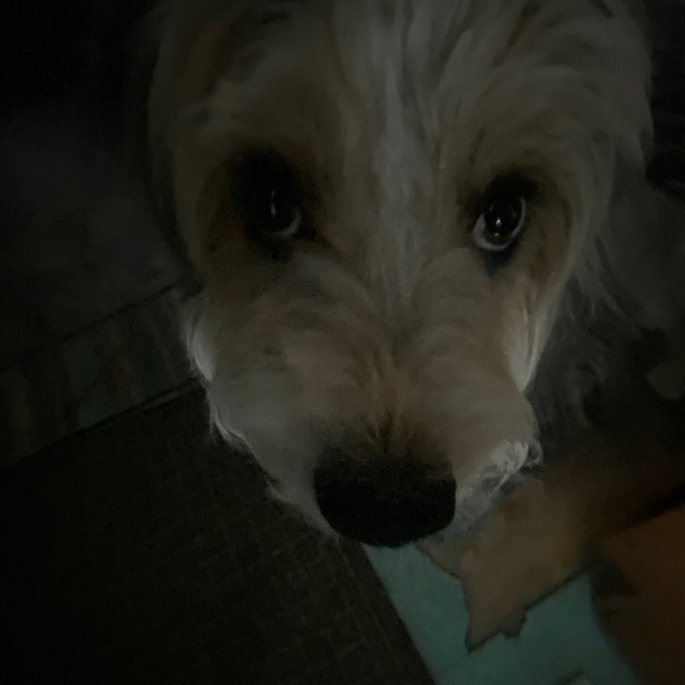 Meet your Posher, Philly